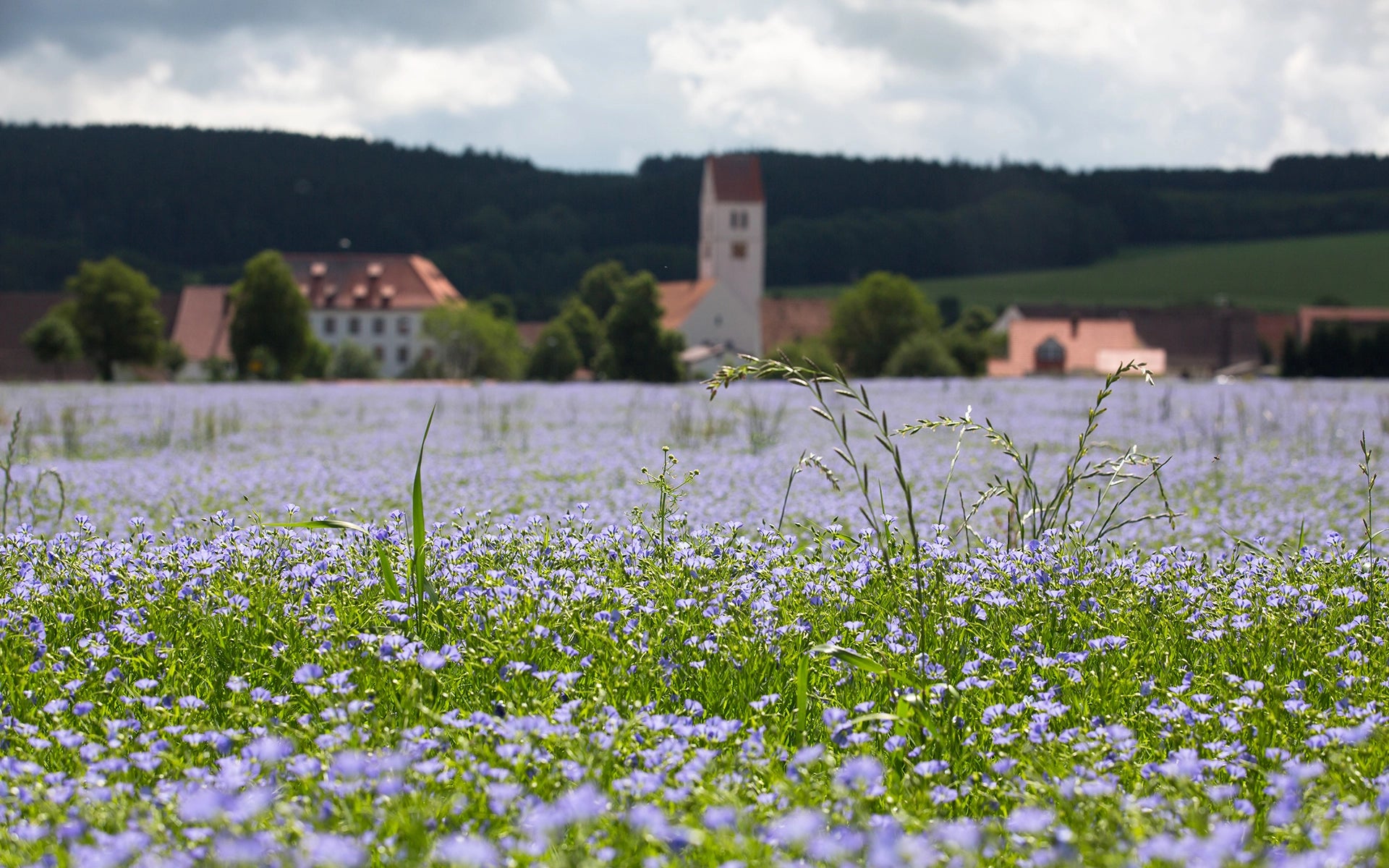 leinfeld-sailer-oehlmuehle